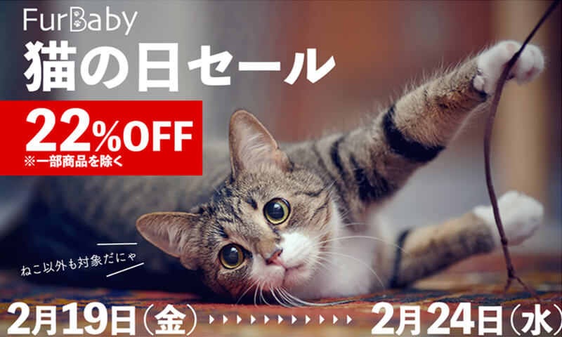 日本Furbaby-貓之日