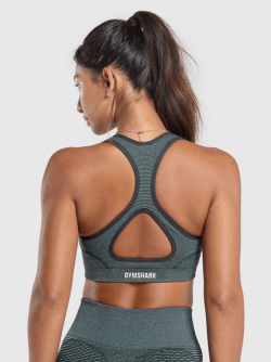 英國 Gymshark黑五運動內衣_Shipgo英國代運